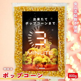 【10%OFFクーポン！2個購入 どの商品でも可】ポップコーン 無添加 800g 1000円ポッキリ 食品 送料無料 3分で出来立て 電子レンジ対応 コーン種 とうもろこし お菓子 バタフライタイプ 短時間で作れる