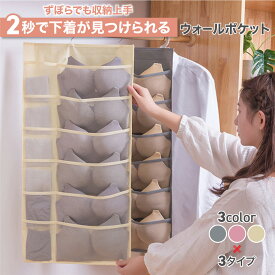 【10%OFFクーポン！2個購入 どの商品でも可】ウォールポケット 吊り下げ 下着収納 壁掛け ブラジャー 靴下 両面 クローゼット ブラの型崩れ防止 大容量 省スペース 衣類 送料無料 メッシュハンガー 洗える