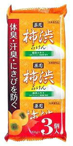 No[R[|[V `aΌ 100g×3 `aGLX JL^jEێܔz (4901498126004) y䂤pPbgɂĔz