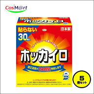【5個セット】 興和 ホッカイロ 貼らないタイプ レギュラー 30個入｜24時間持続｜使い捨てカイロ｜貼らな…