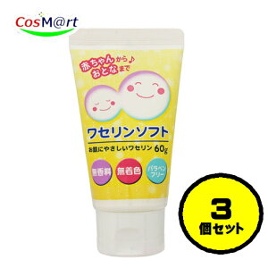 【3個セット】 健栄製薬 ワセリンソフト 60g AJD 無香料 無着色 防腐剤(パラベン類)フリー (4987286415550-3)
