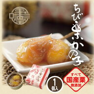 和菓子 ちび栗かの子 1個 80g 栗庵風味堂 国産 銘菓 栗菓子 お茶菓子 栗きんとん 栗鹿の子 栗かのこ マロ…