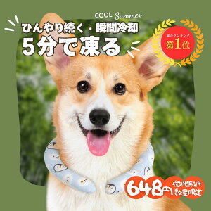 y2025đ΍Iyz_648~ʌ^LΉN[O  MǑ΍ ybgp Ђ R 28 R IȂ  ėpi ʋ