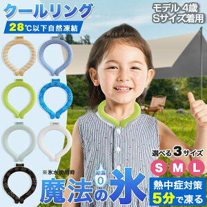 yňlE528~ʌz qǂp⊴O LbY S q Ki Ђ  Of[V N[O MǑ΍ 28 ⊴ ۗ 