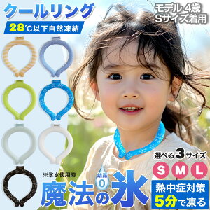 y ₦zqǂp⊴O MǑ΍LbY S q Ki Ђ  Of[V N[O 28 ⊴ ۗ  pO ACX