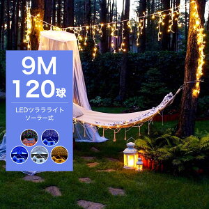 烉Cg C~l[V \[[ 120 NX}X O  C~l[VCg \[[C~l[VCg \[[ C~l[V