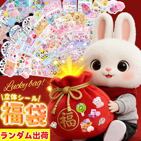 【年中無休・即日発送！】ぷくぷくシール 3Dシール 立体シール シール帳 お尻シール おしりぷにぷにシール 3Dおしりシール かわいい キャラクター セット お尻シール 人気 ぷくぷくシール おしり ぷくぷくシール おしり ぷにぷにおしり シール ステッカー クリスマス シール