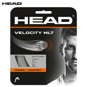 wbh HEAD ejXKbg iC XgO xVeB}` 1.30mm 12m VELOCITY MLT 16 ejX Pbg }`tBg \tg I[Eh dejXKbg 281404 i` ub