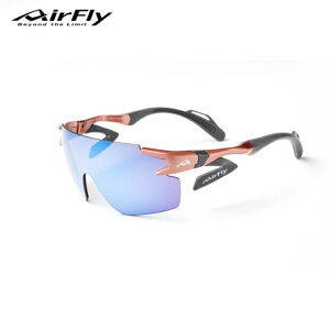 AirFly GAtC AF-302 C-4WP ΌYf X|[cTOX