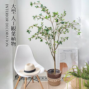 tFCNO[  lHϗtA qcoL ^ 150cm t t A [t  ӏܐA CeA  