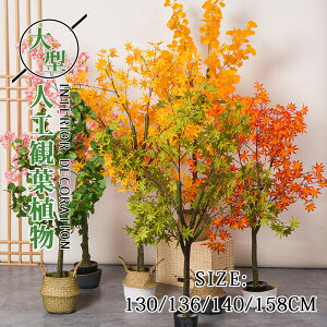 gt  lHϗtA  Jt ^ 130-158CM lG k tFCNA 傫TCY     CeA 