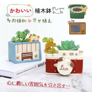  Aؔ  A 񂹐A A  t[|bg K[f|bg T{e v^[  K[f a 蕨 DIY ~j`Ai