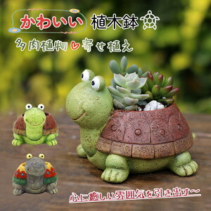  Aؔ T 킢 A  A 񂹐A t[|bg K[f|bg T{e v^[  K[f a 蕨 Mtg ~j`Ai