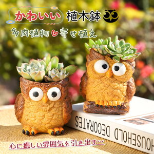  Aؔ RmnYN 킢 A 񂹐A t[|bg K[f|bg T{e v^[  K[f a 蕨 J[gD[ ʔ