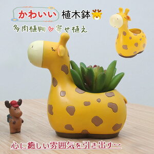  Aؔ L ^ 킢 A 񂹐A t[|bg K[f|bg T{e v^[  K[f a 蕨 ~j`A i