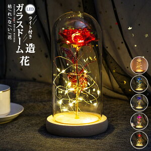 t[ KXh[  ͂Ȃ LEDCgt   ̓ ̓ o^C  LO/a/j Mtg