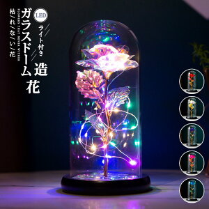 ̓ t[  KXh[ S[h LEDCg LL  bL[Y   LO/a/j/ Mtg