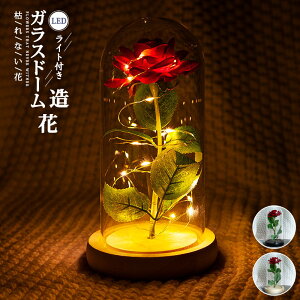 vU[uht[ KXh[ [Y j a ̓  蕨  LO   t[ j