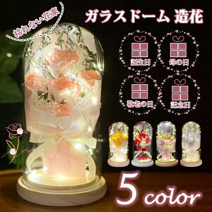 LED KXh[ \[vt[ ԑ  [Y t[  ͂Ȃ j ԑ v[g zCgf[ ̓ hV̓ LO 