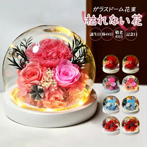 プリザーブドフラワー ガラスドーム 本物の花 カーネーション フラワー おしゃれ LED 枯れない花 プレゼント ホワイトデー 母の日 敬老の日 記念日 お見舞い