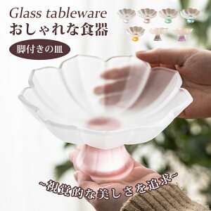 R|[gM ȐH M rt̎M @̉ ͗l KX LhX^h e[uR[f CeAg[