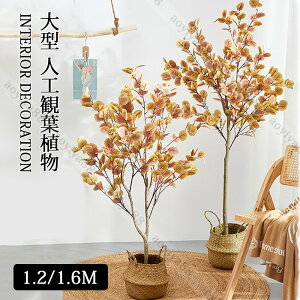 k ^ lHϗtA [J IW [t A    ӏܗp sv S 蕨  A 蕨