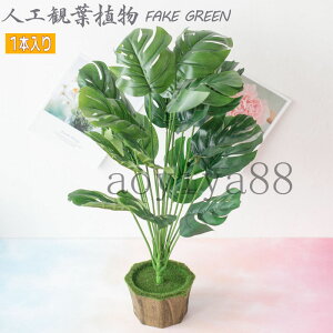 lHϗtA Xe P tFCNO[ A  Ηt  ͂Ȃ k ItBX CeA v[g  lHA