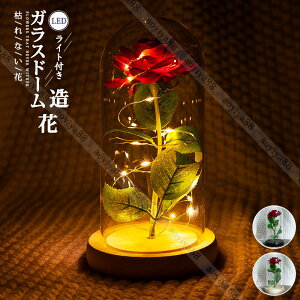 vU[uht[ KXh[ [Y j a ̓  蕨  LO   t[ j