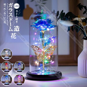 KXh[  t[ ͂Ȃ ̓̃v[g LEDCgt  S[h o^C hV̓ LO 