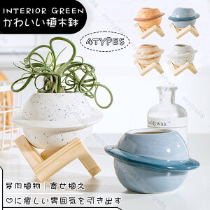 フラワーポット おしゃれ 鉢 植木鉢 寄せ植え かわいい 装飾 ガーデンポット プランター 箱庭 ガーデン 室内 喫茶店 装飾 飾り インテリア