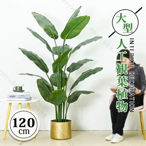lH ϗtA tFCNO[ ^ Xe 120cm   A Ϗܗp t sv CeA   