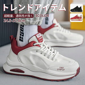 yzXj[J[ EH[LOV[Y Y fB[X WjA  L ₷ X|[cV[Y C bV ʋC JWA EH[LO w ʋ ʊw ^