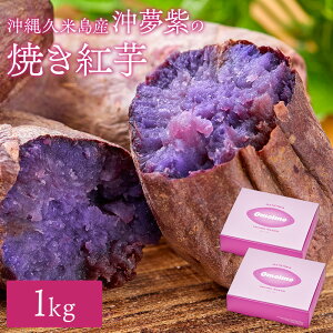 g̏Ă 500g` ꌧvēYgui߂ނ炳jvgp ⓀĂ n₫ Y F Mtg v[g 