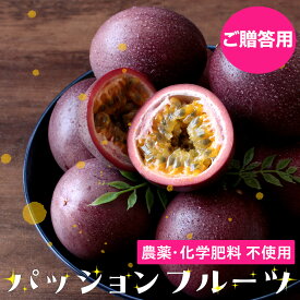 パッションフルーツ 沖縄県産 ご贈答用 生産者直送 農薬不使用 化学肥料不使用 除草剤不使用 送料無料