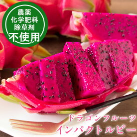 ドラゴンフルーツ 赤（インパクトルビー） 沖縄県産 生産者直送 新品種 農薬不使用 化学肥料不使用 除草剤不使用 送料無料