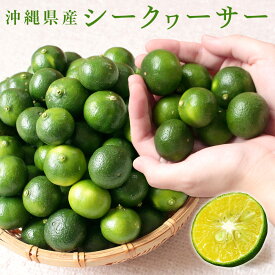シークヮーサー青果 沖縄県産 生産者直送 シークワーサー シークアーサー 青切り 果実 送料無料