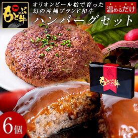 もとぶ牧場 もとぶ牛 ハンバーグセット（120g×6パック入） オリオンビール粕 黒毛和牛100％使用 合成化学保存料不使用 沖縄県産 ブランド牛 ギフト プレゼント お中元 お歳暮 送料無料