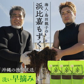 沖縄県浜比嘉島から直送 海人・島田親子の浜比嘉もずく（早摘み）450g×3パック入り～ 洗いもずく 生もずく 塩抜き不要 洗わずそのまま使える 無添加 お取り寄せ 冷凍保存可 送料無料