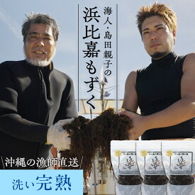 沖縄県浜比嘉島から直送 海人・島田親子の浜比嘉もずく（完熟）450g×3パック入り～ 洗いもずく 生もずく 塩抜き不要 洗わずそのまま使える 冷凍保存可 送料無料