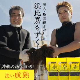 沖縄県浜比嘉島から直送 海人・島田親子の浜比嘉もずく（成熟）450g×3パック入り～ 洗いもずく 生もずく 塩抜き不要 洗わずそのまま使える 無添加 お取り寄せ 冷凍保存可 送料無料
