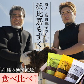 沖縄県浜比嘉島から直送 海人・島田親子の浜比嘉もずく（早摘み・成熟・完熟の食べ比べセット） 洗いもずく 生もずく 塩抜き不要 洗わずそのまま使える 無添加 お取り寄せ 冷凍保存可 送料無料