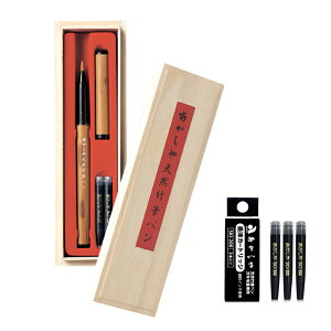 y2_Zbgz My VR|My ˔P[X AK2500UK + J[gbWXyACN SKI-200i3j