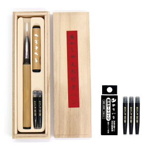 y2_Zbgz VR|My yLz^˔P[X AK3200MK-57 + J[gbWXyACN SKI-200i3j