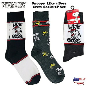 Xk[s[ LN^[ C 2Zbg N[\bNX snoopy ObY EbhXgbN  Y   킢  l j̎q AJW AL AJG A