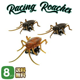 レーシング ゴキブリ 8個セット プルバック式 コックローチ ジョーク ミニチュア 玩具 おもちゃ トイ おもしろ グッズ 面白雑貨 アメリカ雑貨 アメリカン雑貨 アメ雑貨 送料無料