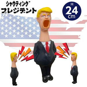 VEeBO vWfg USA哝̂̃XNC[Y XNC[Y  XgX  XgXU  XNC[Yߋ ՂɂՂ  XgX{[  ʔG AgC 