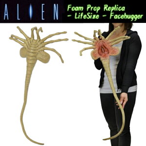 NECA GCA X^g pybg vJ h[ g h[XRbgē 1979N SFfwALIENxf Bep S 80cm GA fObY lJ CZXi