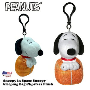 Xk[s[ ʂ  X[sOobO ӂӂ Nbvt Xk[s[ ObY l Xk[s[ D v[g `[[uE EbhXgbN LN^[ snoopy 