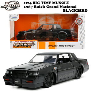 rCbN OhiVi 1987 ~jJ[ A 1/24 JADATOYS 1:24 BTM 1987 Buick Grand National _CLXg ~jJ[    AJG AJG _CLXgJ[ AgC 