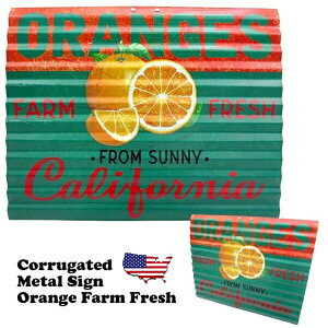 AJ uLŔ RQ[g ^TC IW AJ t[c ݂ CeA AJG AJG g AeB[N Ǌ| Ǒi K[W _Ci[ 